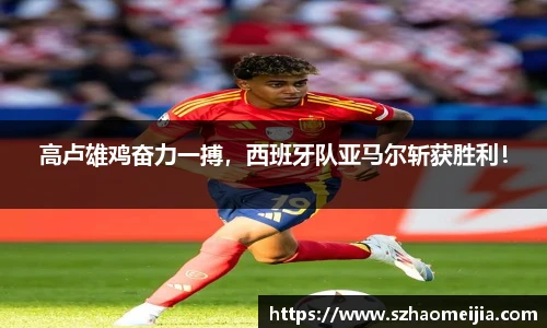 高卢雄鸡奋力一搏，西班牙队亚马尔斩获胜利！