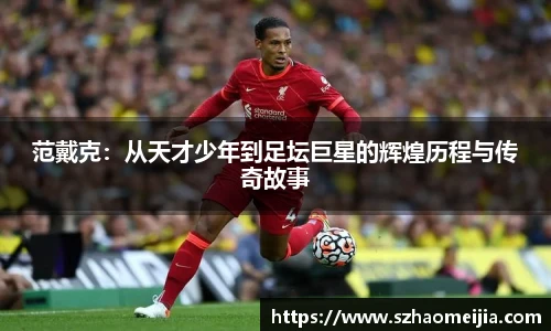 范戴克：从天才少年到足坛巨星的辉煌历程与传奇故事